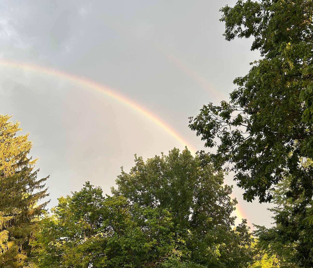 double rainbow arching over treetops