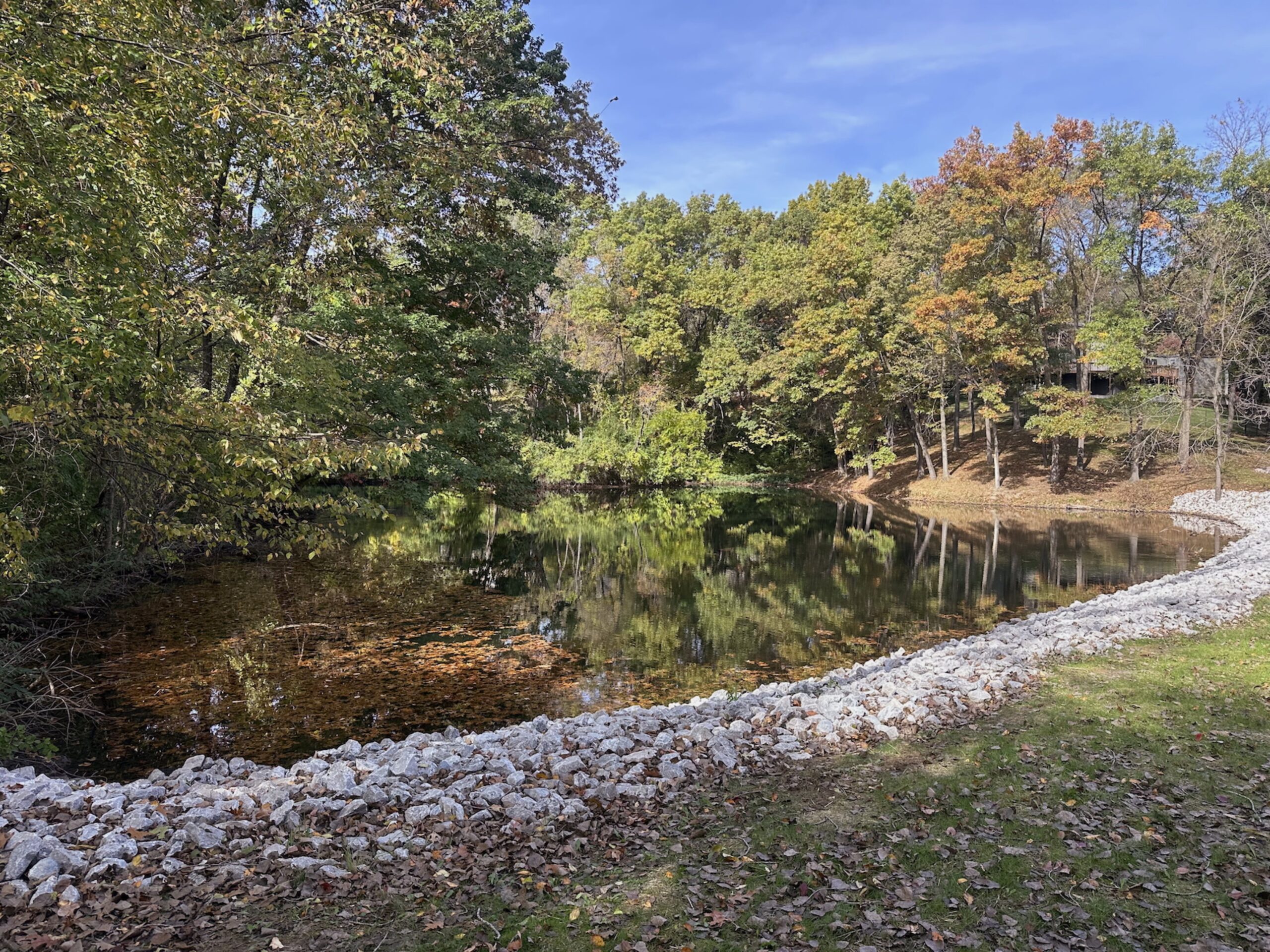 Autumn trees of orange, gold, and green are reflected in the water of a pond. Orange leaves float on the water. A bright blue sky is overhead.